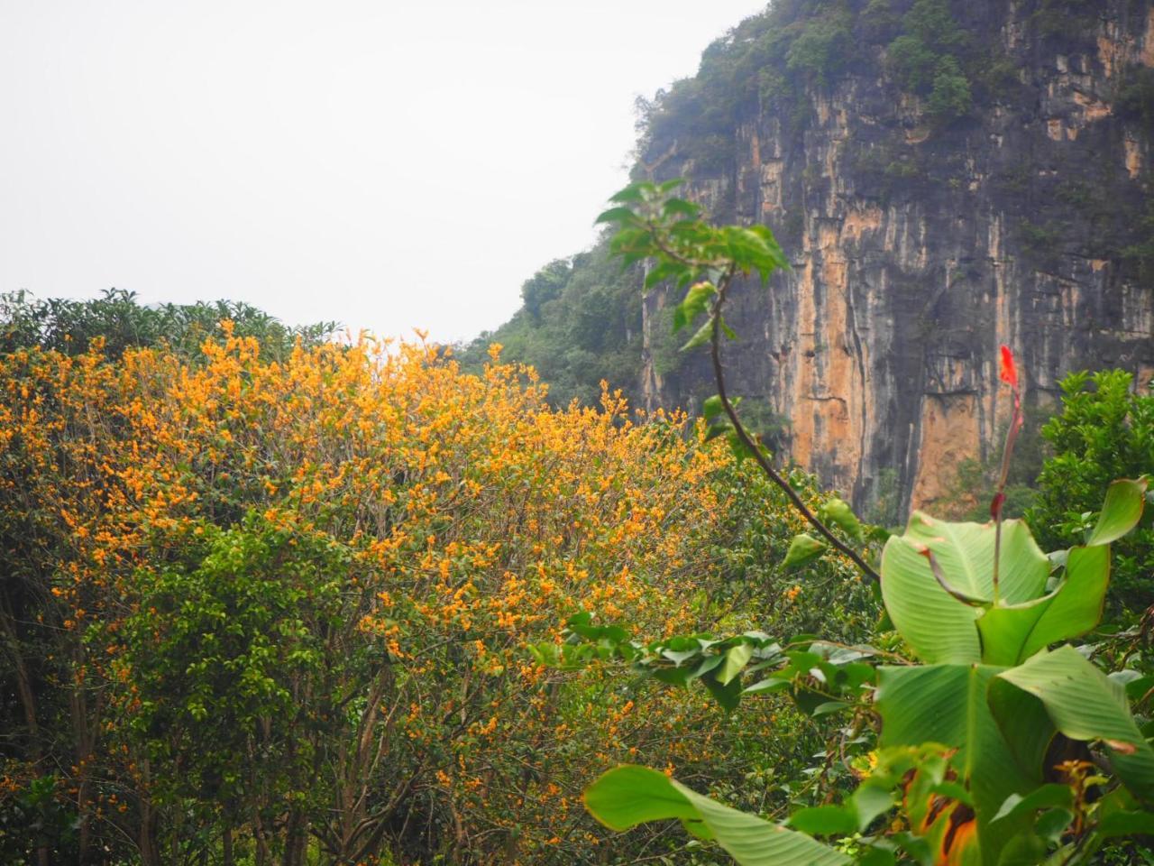 Yangshuo Moon Resort Hotel กุ้ยหลิน ภายนอก รูปภาพ